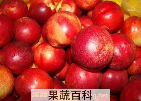 油桃的功效与作用及食用方法