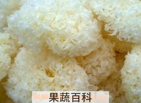 银耳的功效与作用 银耳怎么吃