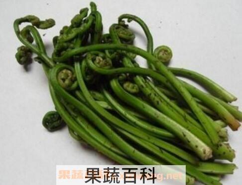 新鲜蕨菜怎么保存 蕨菜的保存方法