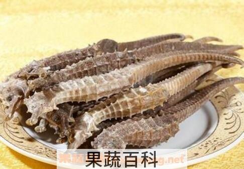 海马干有什么功效与作用