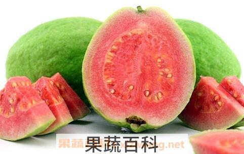台湾红心芭乐图片 