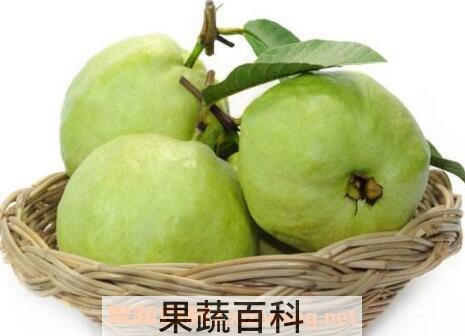 血脂高可以吃芭乐吗