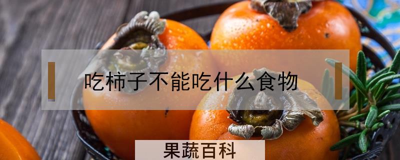 吃柿子不能吃什么食物
