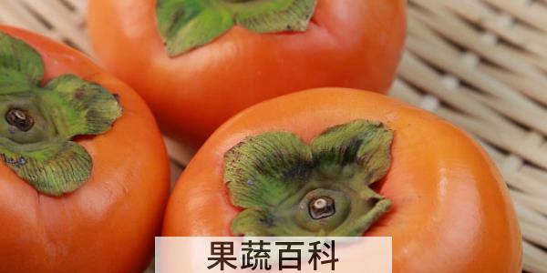 吃柿子不能吃什么食物