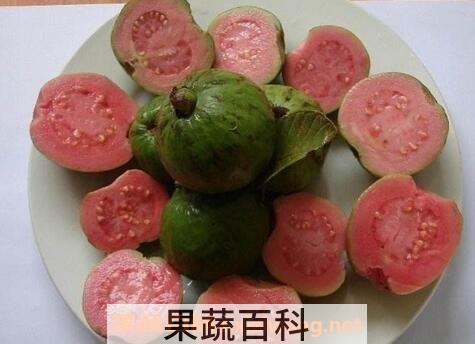 土芭乐是什么水果