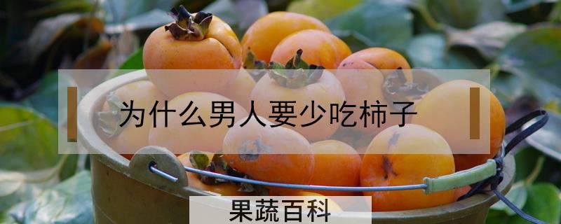 为什么男人要少吃柿子