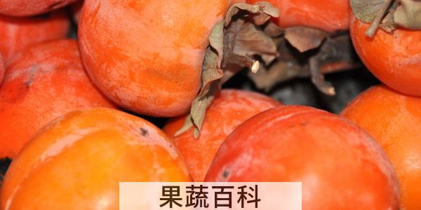 为什么男人要少吃柿子