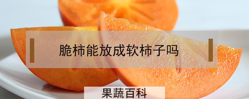 脆柿能放成软柿子吗