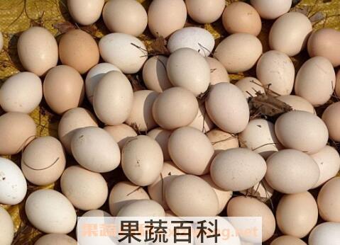 含硒高的食物有哪些 哪些食物能补硒