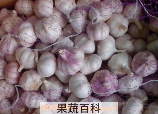 含硒高的食物有哪些 哪些食物能补硒