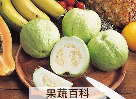孕妇吃芭乐的功效与作用