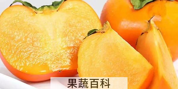 脆柿是杂交的品种吗