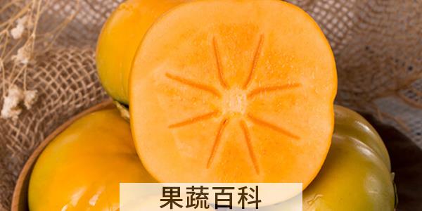 脆柿是杂交的品种吗