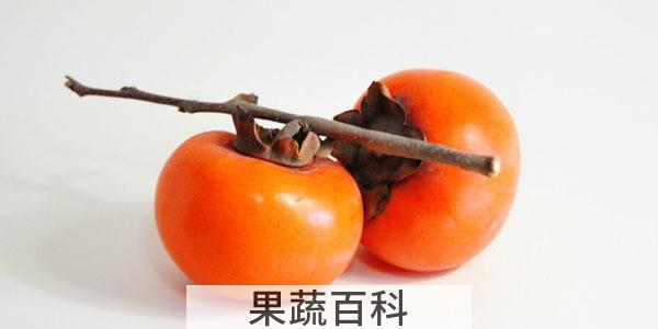 吃柿子的禁忌