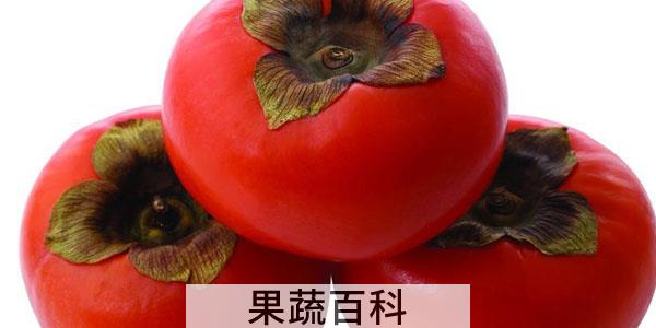 吃柿子的禁忌