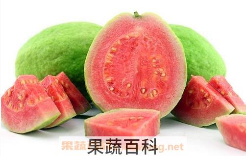  怎么判断芭乐的生熟