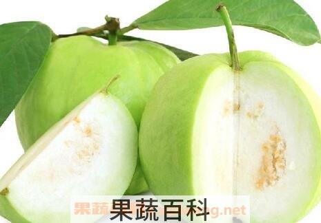 做月子能吃芭乐吗