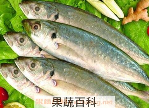 巴浪鱼的功效和作用