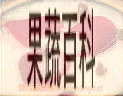 果蔬百科