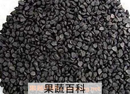 韭菜籽儿到底有什么神奇功效
