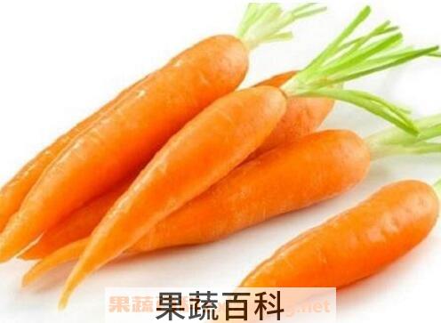 儿童吃红萝卜的好处和坏处