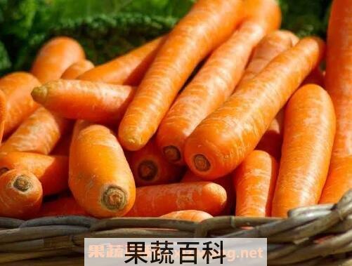 儿童吃红萝卜的好处和坏处
