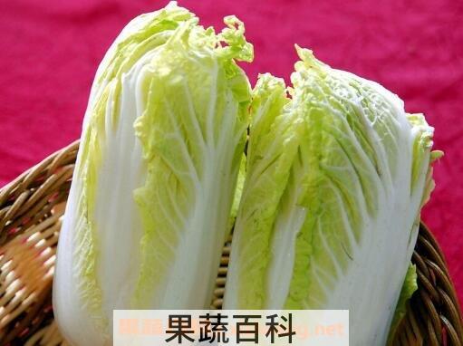 油菜与白菜的区别