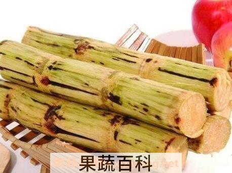  煮青甘蔗根的功效与作用