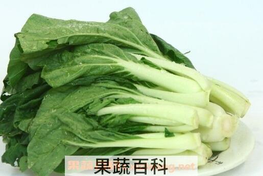 油菜和小白菜的营养价值
