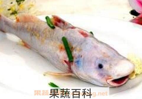 鮰鱼的营养价值及功效和忌食