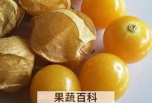 孕妇能吃姑娘果吗