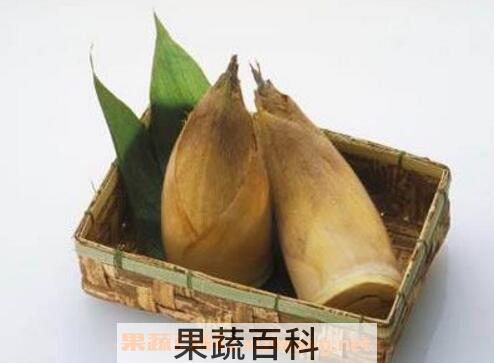 冬笋和春笋的区别 如何区分冬笋与春笋