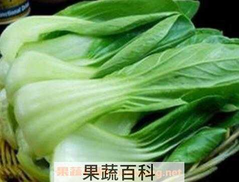 油白菜的营养成分与营养价值