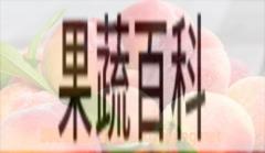 果蔬百科桃子