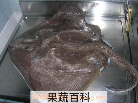 老板鱼对男人的功效
