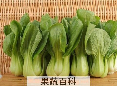 油白菜的作用与功效