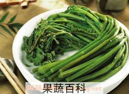 蕨菜致癌是真的吗 蕨菜的功效与作用