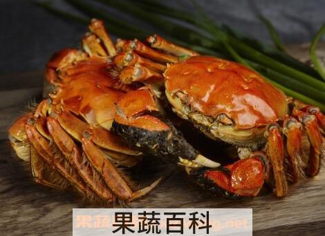 大闸蟹怎么保存 大闸蟹保鲜方法技巧