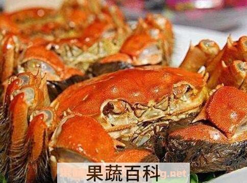 大闸蟹怎么保存 大闸蟹保鲜方法技巧