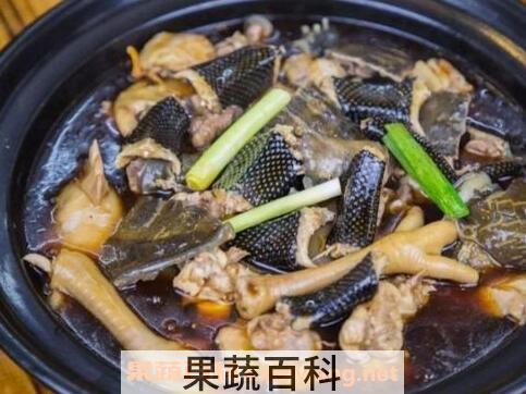 蛇肉的功效与禁忌