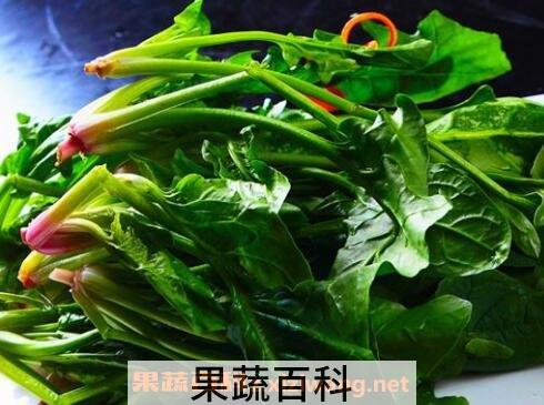 补血的蔬菜有哪些