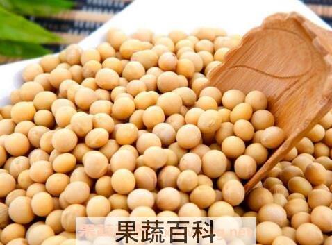 黄豆有哪些功效与作用
