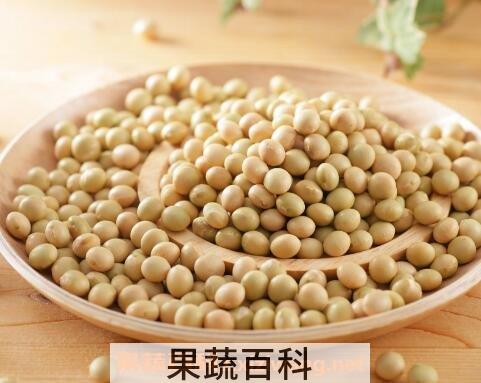 黄豆有哪些功效与作用