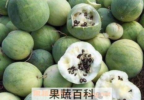 籽瓜皮的功效与作用