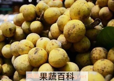中药桂圆皮的功效与作用及食用方法