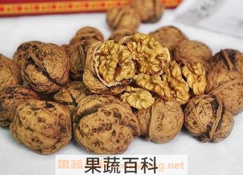 中药核桃皮的功效与作用