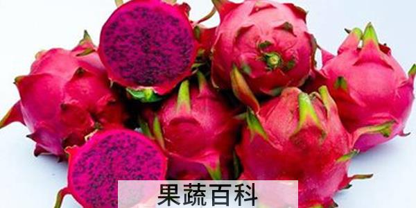 吃红心火龙果的禁忌