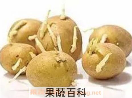 土豆发芽了还能吃吗 吃了发芽土豆怎么解毒