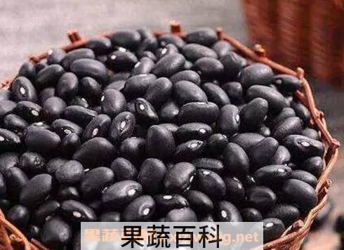 怎样吃黑豆补肾 醋泡黑豆能补肾吗