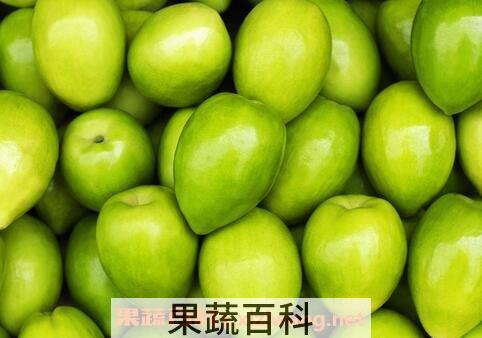 青枣的营养价值